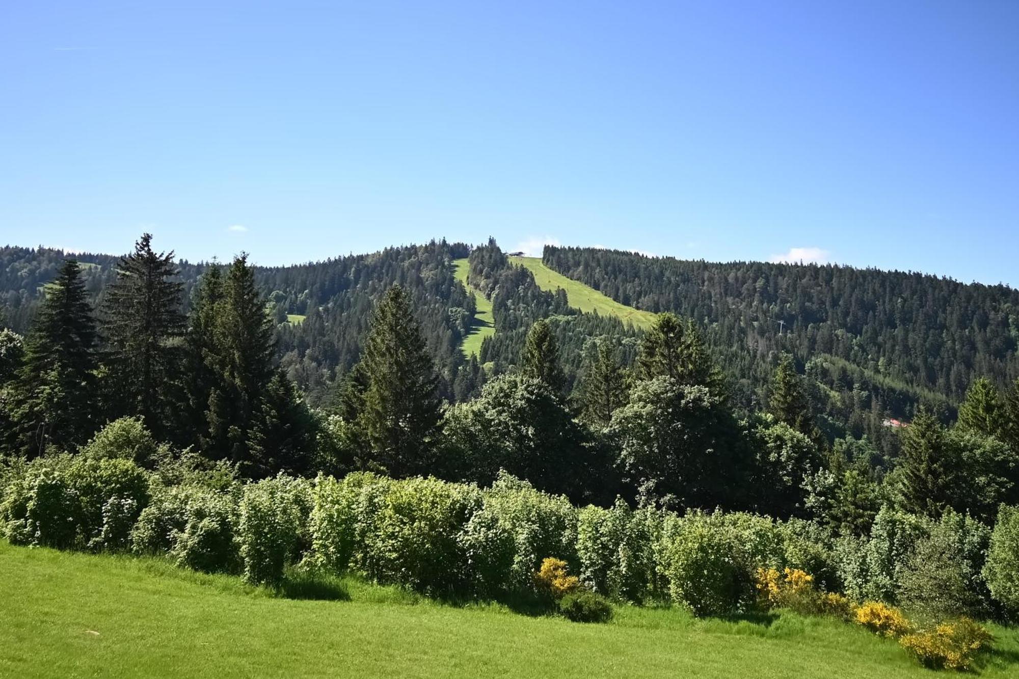Le Nid Des Vosges - Appt Vue Montagne Apartment เฌราร์แมร์ ภายนอก รูปภาพ
